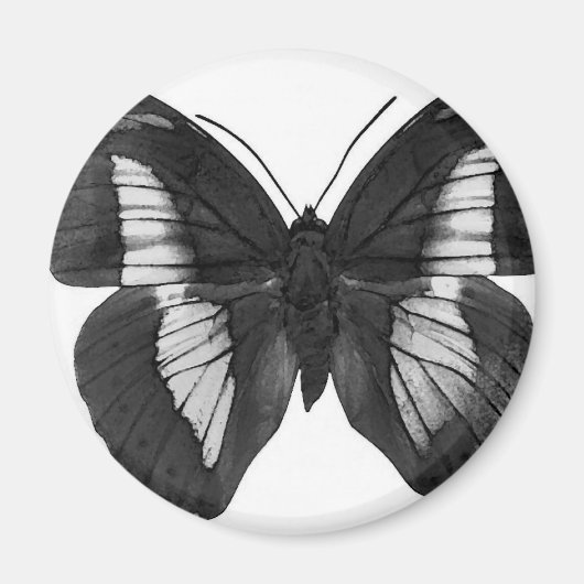 Schmetterling Magnet (Vorne)