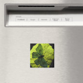 Schmetterling Magnet (In Situ (Geschirrspüler))