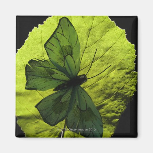 Schmetterling Magnet (Vorne)