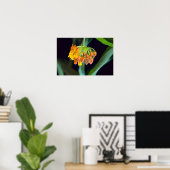 Schmetterling-Milkweed-Buds und -Blüten Poster (Heimbüro)