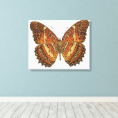 Schmetterling mit Flügeln 3 Leinwanddruck (Insitu (Holzboden))