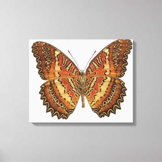Schmetterling mit Flügeln 3 Leinwanddruck (Vorderseite)