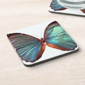 Schmetterling mit Flügeln verbreitete 2 Getränkeuntersetzer (Linke Seite)