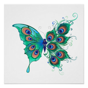 Schmetterling mit grünen Pfauenfedern Poster