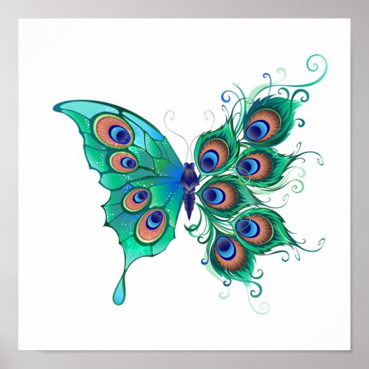 Schmetterling mit grünen Pfauenfedern Poster (Vorne)