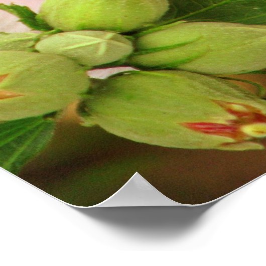 Schmetterling mit Römern 12:2 Poster (Ecke)