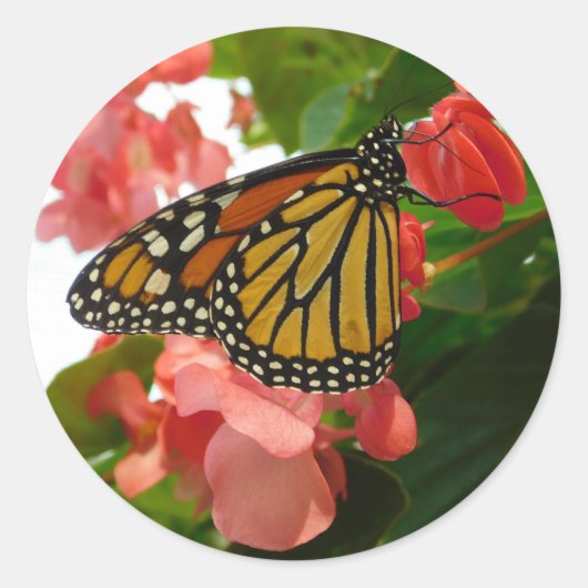 Schmetterling mit roten Blume Runder Aufkleber (Vorderseite)