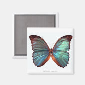 Schmetterling mit Tragflächen 2 Magnet (Vorderseite/Rückseite)
