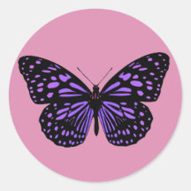 Schmetterling mit violetten Flecken
