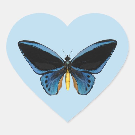 Schmetterling mit Vogelflügeln Herz-Aufkleber (Vorderseite)