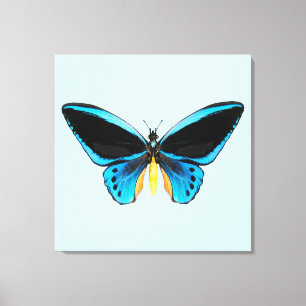 Schmetterling mit Vogelflügeln Leinwanddruck