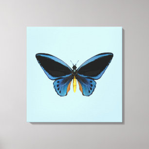 Schmetterling mit Vogelflügeln Leinwanddruck