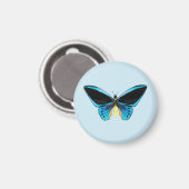 Schmetterling mit Vogelflügeln Magnet (Vorderseite/Rückseite)