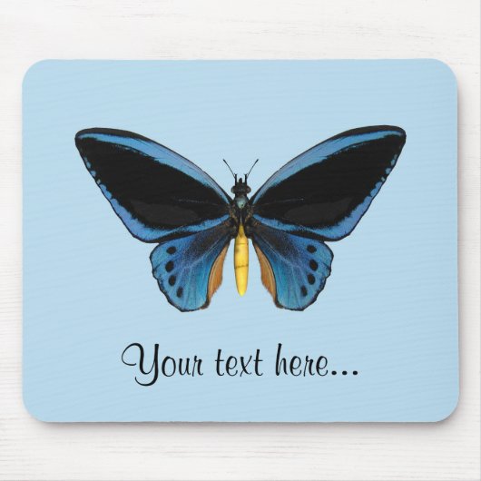 Schmetterling mit Vogelflügeln Mousepad (Vorne)