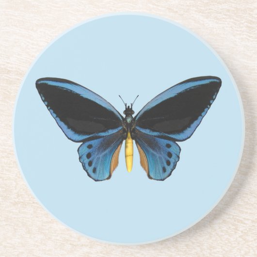 Schmetterling mit Vogelflügeln Untersetzer (Vorne)