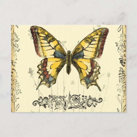 Schmetterling mit Wildblumen Postkarte (Vorderseite)