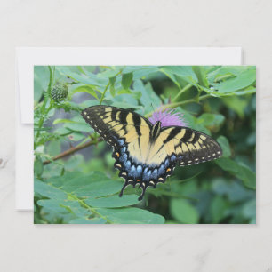 Schmetterling Mitteilungskarte