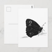 Schmetterling Monochrom Postkarte (Vorne/Hinten)