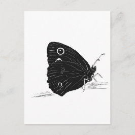 Schmetterling Monochrom Postkarte