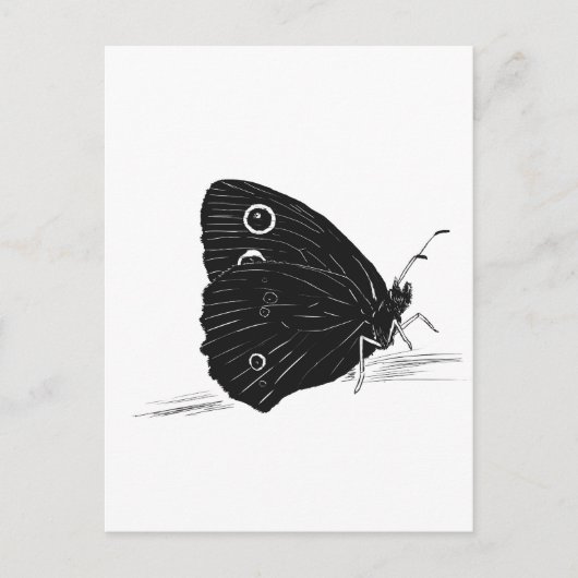 Schmetterling Monochrom Postkarte (Vorderseite)