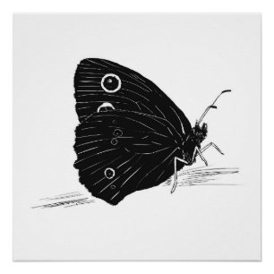 Schmetterling Monochrome Druck / Poster