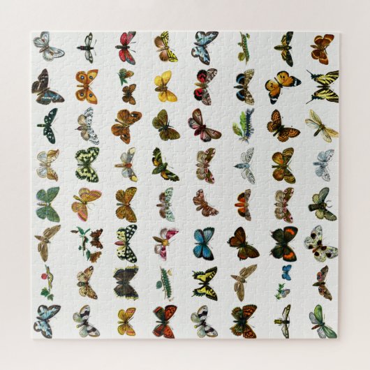 Schmetterling, Moth und Raupe Puzzle (Horizontal)