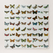 Schmetterling, Moth und Raupe Puzzle (Vertikal)