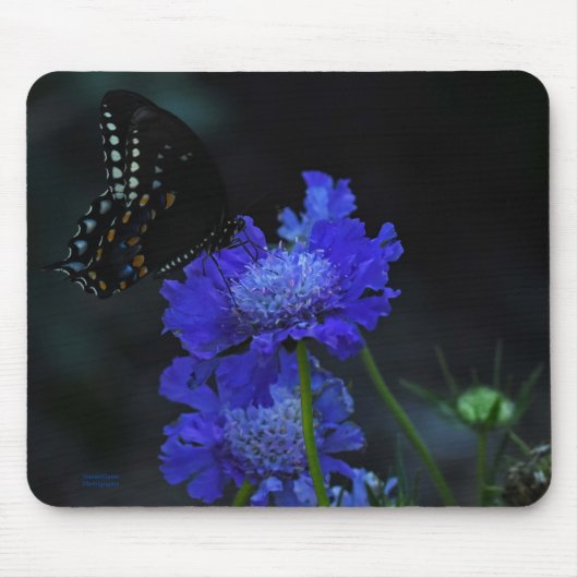 Schmetterling Mousepad (Vorne)