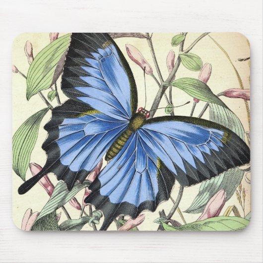 Schmetterling Mousepad (Vorne)