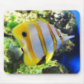 Schmetterling Mousepad (Vorne)