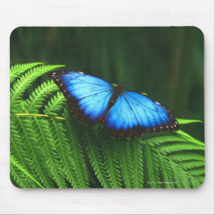 Schmetterling Mousepad