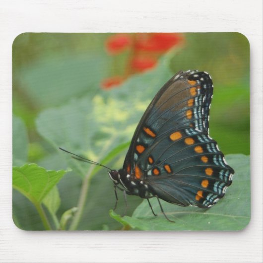 Schmetterling Mousepad (Vorne)