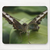 Schmetterling Mousepad (Vorne)