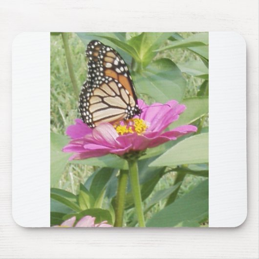 Schmetterling Mousepad (Vorne)