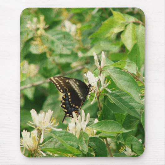 Schmetterling Mousepad (Vorne)