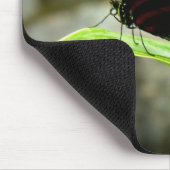Schmetterling Mousepad (Ecke)