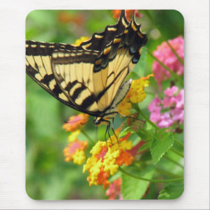 Schmetterling Mousepad