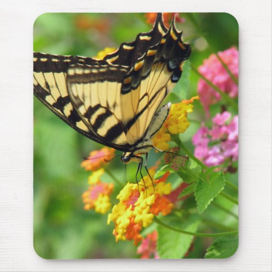 Schmetterling Mousepad (Vorne)