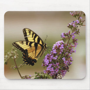 Schmetterling Mousepad