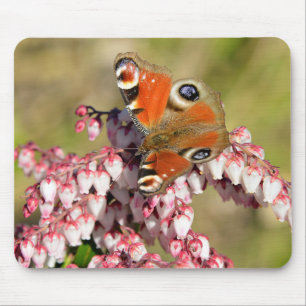 Schmetterling Mousepad