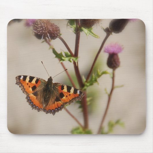Schmetterling Mousepad (Vorne)