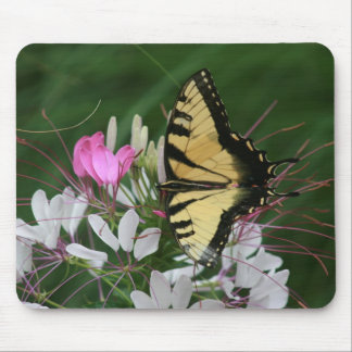 Schmetterling Mousepad