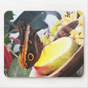 Schmetterling Mousepad