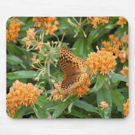 Schmetterling Mousepad (Vorne)