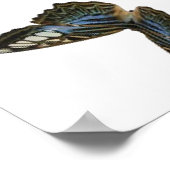 Schmetterling-Multiplakat 24X24" Poster (Ecke)