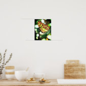 Schmetterling Nah Poster (Küche)