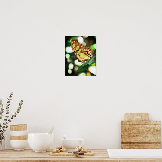 Schmetterling Nah Poster (Küche)