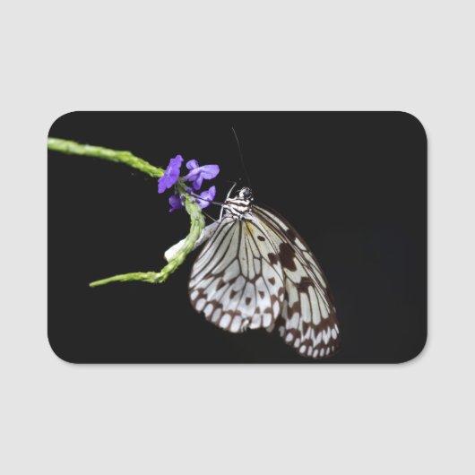 Schmetterling Namensschild (Vorderseite)
