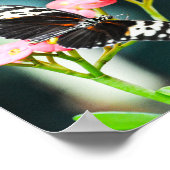 Schmetterling-Natur-Insekten Rosa Blume Poster (Ecke)