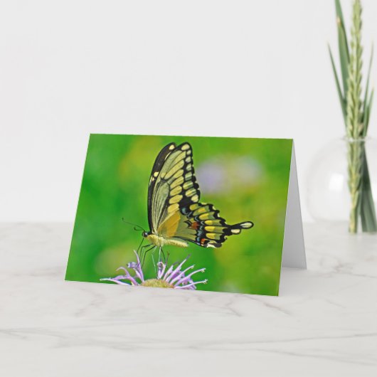 Schmetterling - Neujahrssegnung Feiertagskarte (Vorderseite)